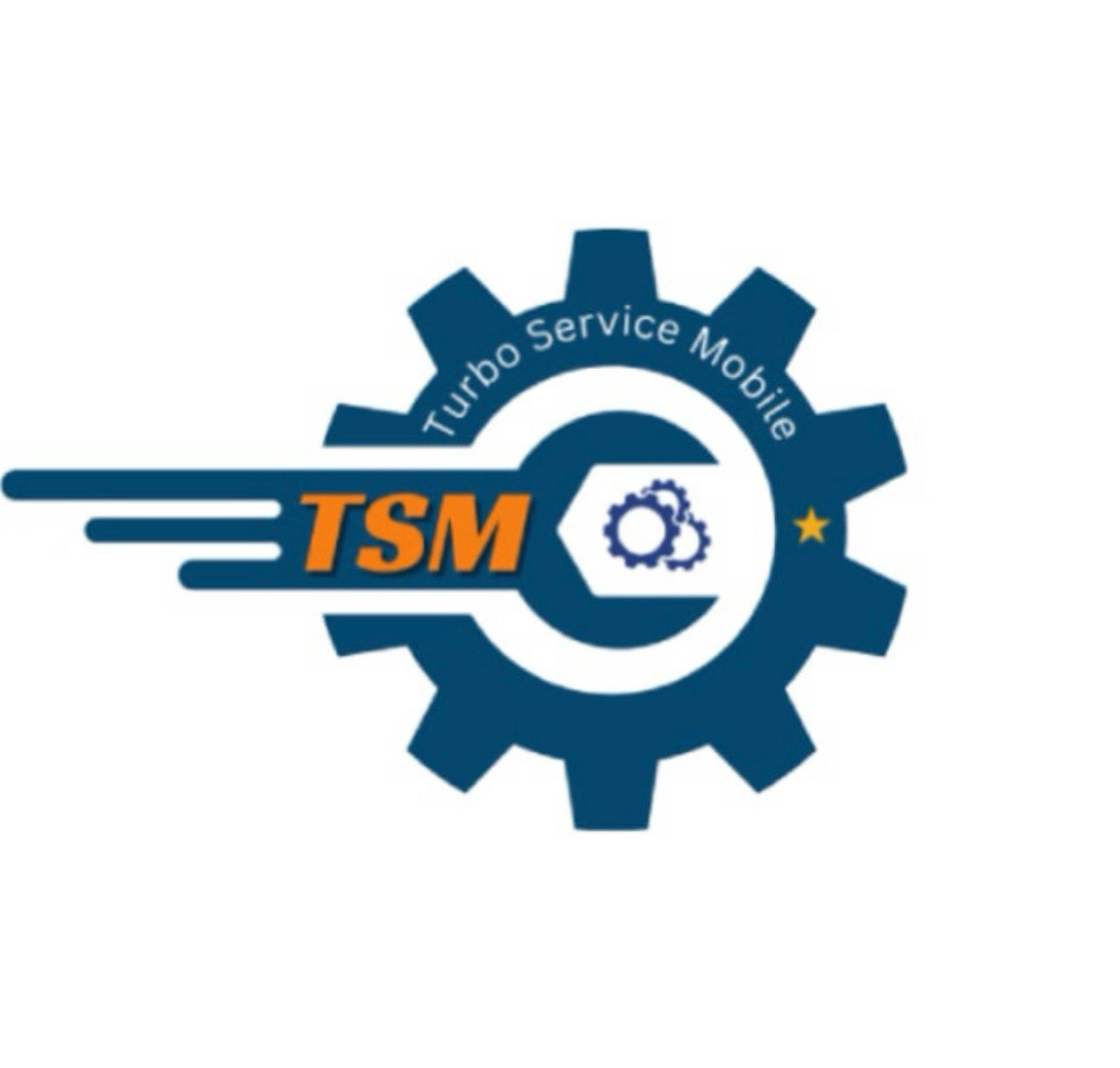 TSM Tool Mobile Repair Software Logo